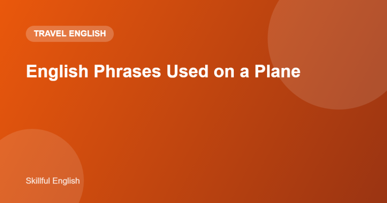 English Phrases Used on a Plane: Requests and Dialogues